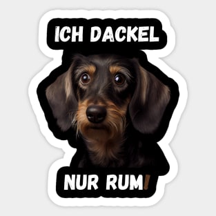 Sweet Wire-haired Dachshund - I Just Dachshund Around! 4 Sticker